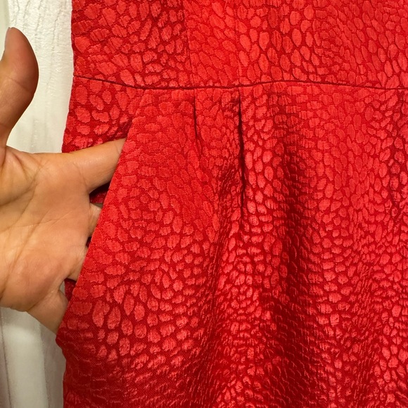 Banana Republic Scarlet Textured Dress - Picture 5 of 7